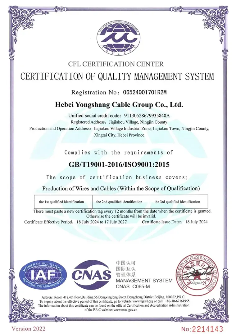 Achieves ISO 9001 Quality Management System Certification